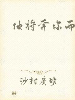 他将奔你而来封面