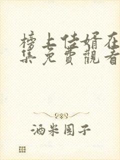 榜上佳婿在线全集免费观看电视剧