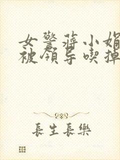 女警蒋小娟的奶被领导吃掉了封面