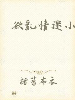 欲乱情迷小说封面