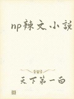 np辣文小说