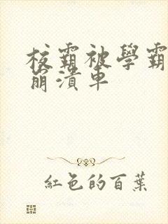 校霸被学霸玩到崩溃车