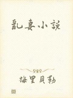 乱妻小说