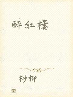 醉红楼封面
