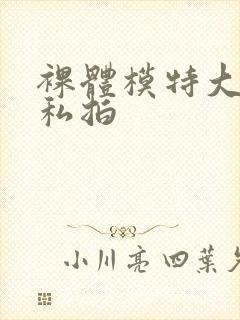 裸体模特大尺度私拍