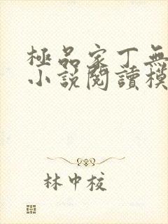 极品家丁无删减小说阅读模式封面