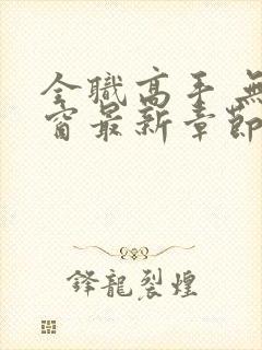 全职高手 无弹窗最新章节封面