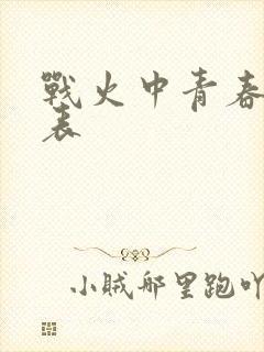 战火中青春演员表