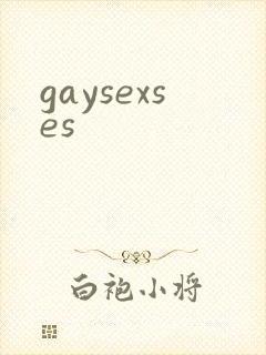 gaysexses封面