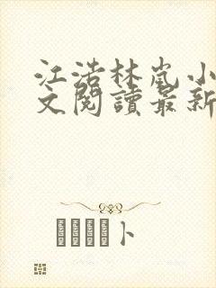 江浩林岚小说全文阅读最新章节更新