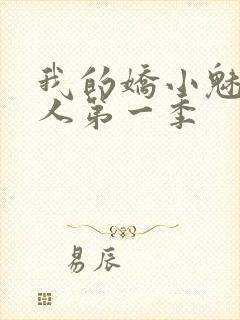 我的娇小魅魔仆人第一季