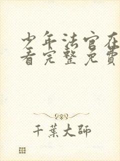 少年法官在线观看完整免费高清封面