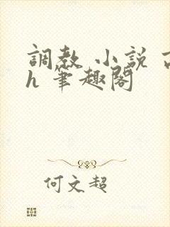 调教 小说 高h 笔趣阁封面