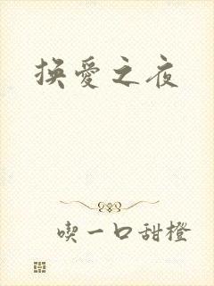 换爱之夜