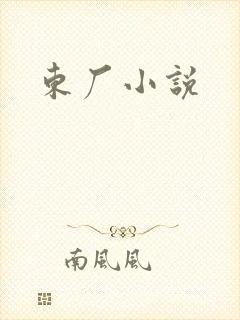 东厂小说