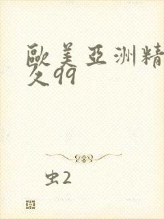 欧美亚洲精品久久99