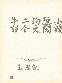 牛二狗陈小燕小说全文阅读封面
