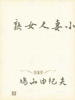 熟女人妻小说封面