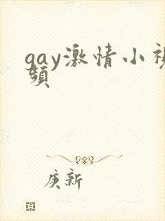 gay激情小视频封面