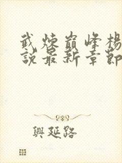 武炼巅峰杨开小说最新章节列表