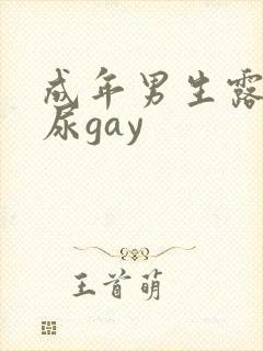 成年男生露j撒尿gay