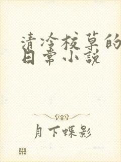 清冷校草的堕落日常小说