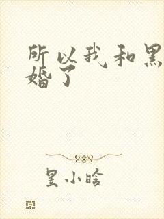 所以我和黑粉结婚了封面