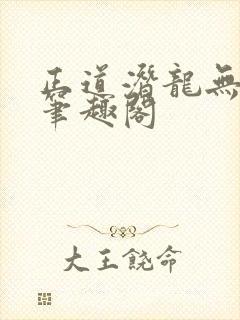 正道潜龙无删减笔趣阁