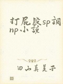 打屁股sp调教np小说封面