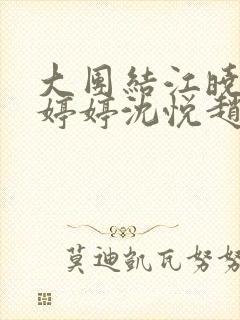 大团结江晓萍陆婷婷沈悦赵建封面