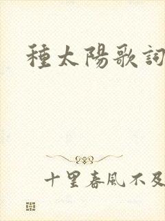 种太阳歌词