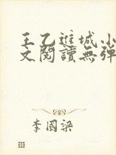 王乙进城小说全文阅读无弹窗