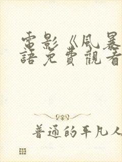 电影《风暴》国语免费观看