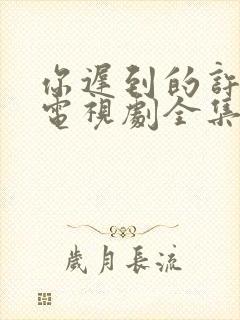 你迟到的许多年电视剧全集免费播放