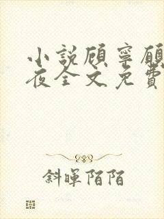 小说顾宁愿薄靳夜全文免费阅读封面