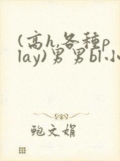 (高h,各种play)男男bl小说封面