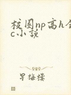 校园np高h全c小说