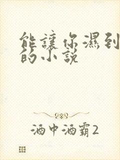 能让你湿到不行的小说