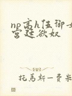 np高h伍御女宫廷欲奴