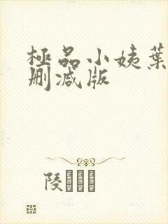 极品小姨叶凡无删减版封面