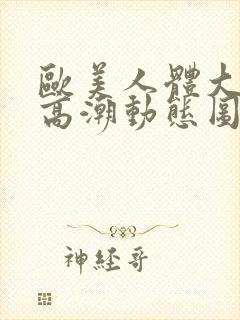 欧美人体大尺度高潮动态图