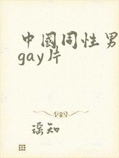 中国同性男男黄gay片