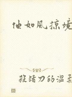 他如风掠境