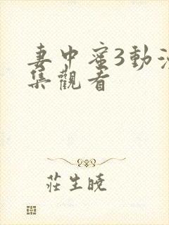 妻中蜜3动漫全集观看