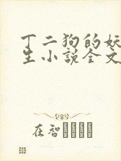 丁二狗的妖孽人生小说全文免费封面