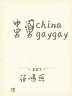 中国china男男gaygay