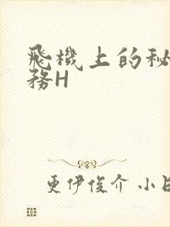 飞机上的秘密服务H