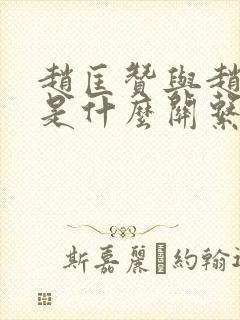 赵匡赞与赵匡胤是什么关系