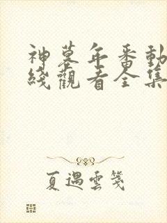 神墓年番动漫在线观看全集免费播放