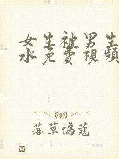 女生被男生操出水免费视频